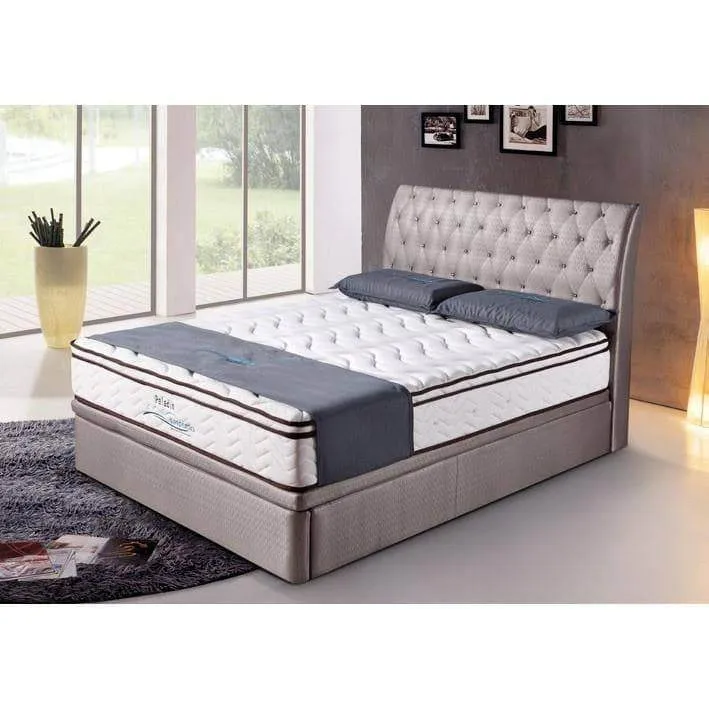 Ashwin Faux Leather Storage Bed