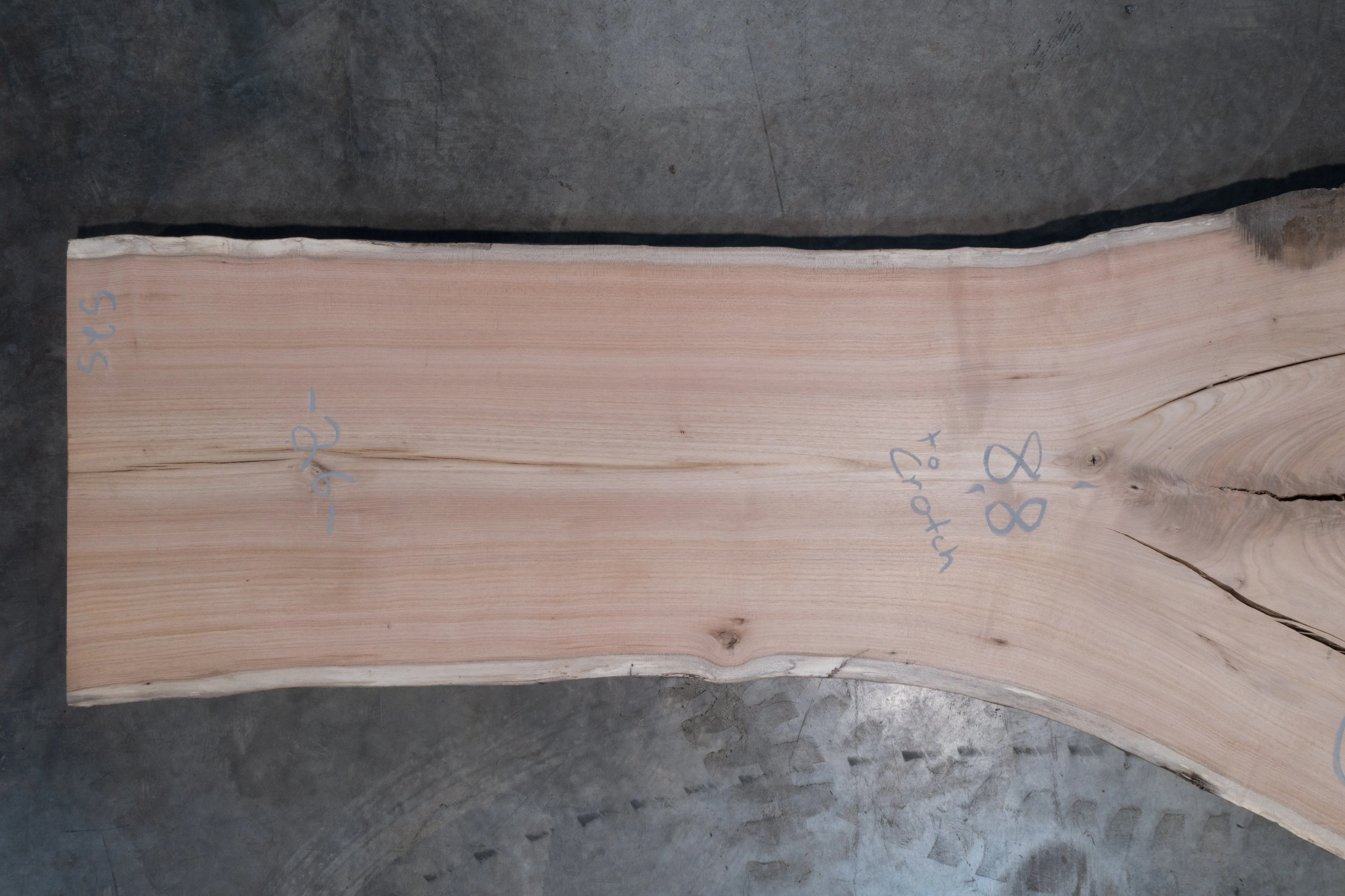 Butternut Slab 051124-25