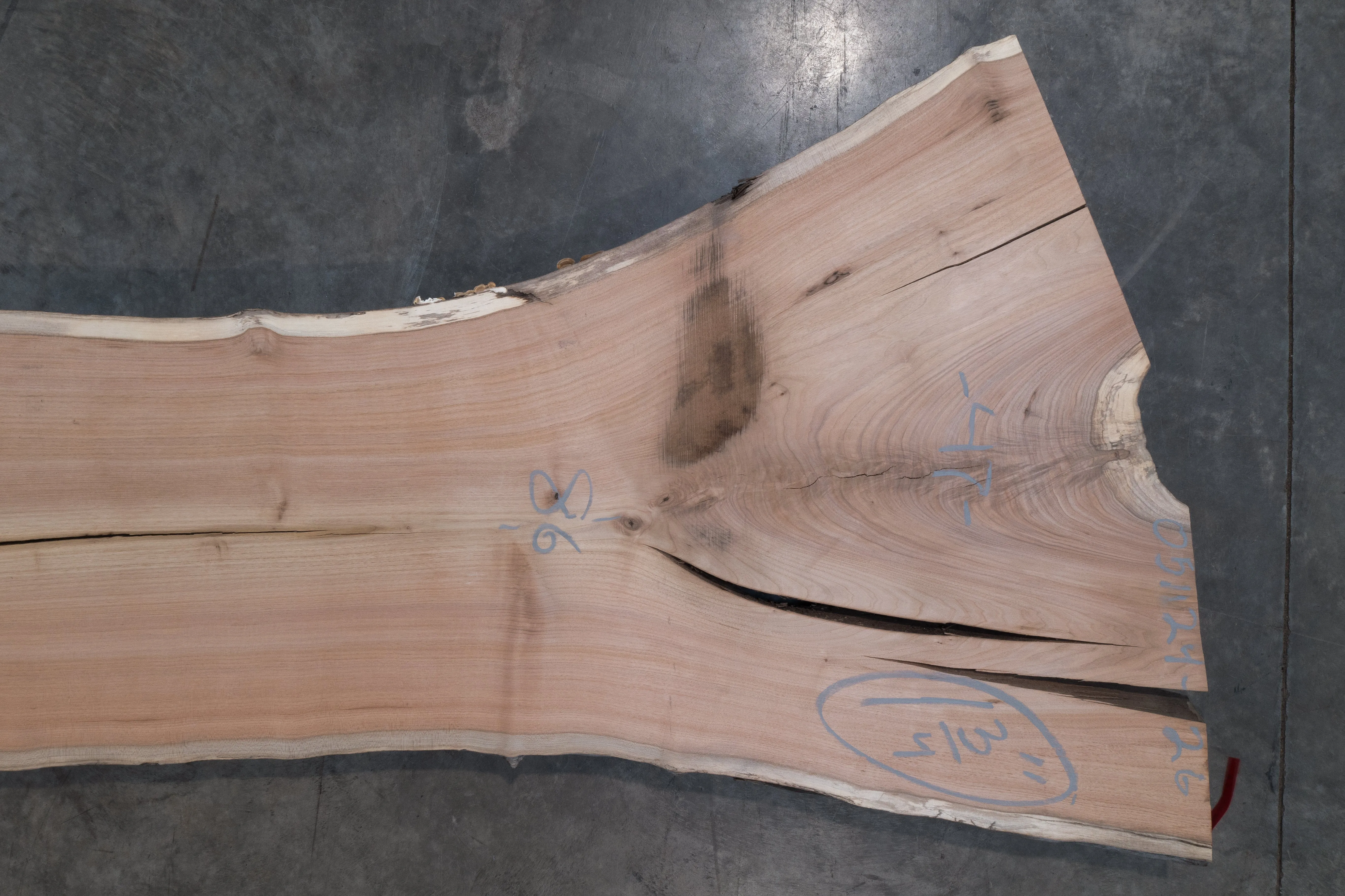 Butternut Slab 051124-26