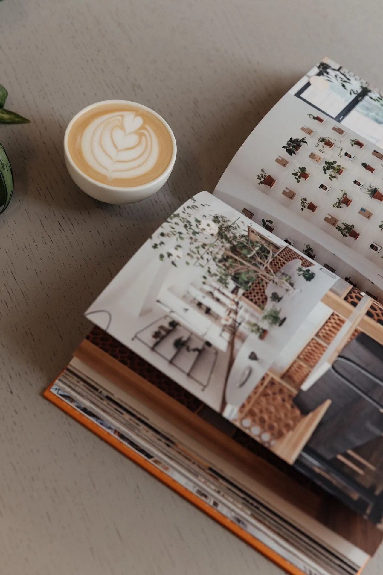 Café Cool by Robert Schneider