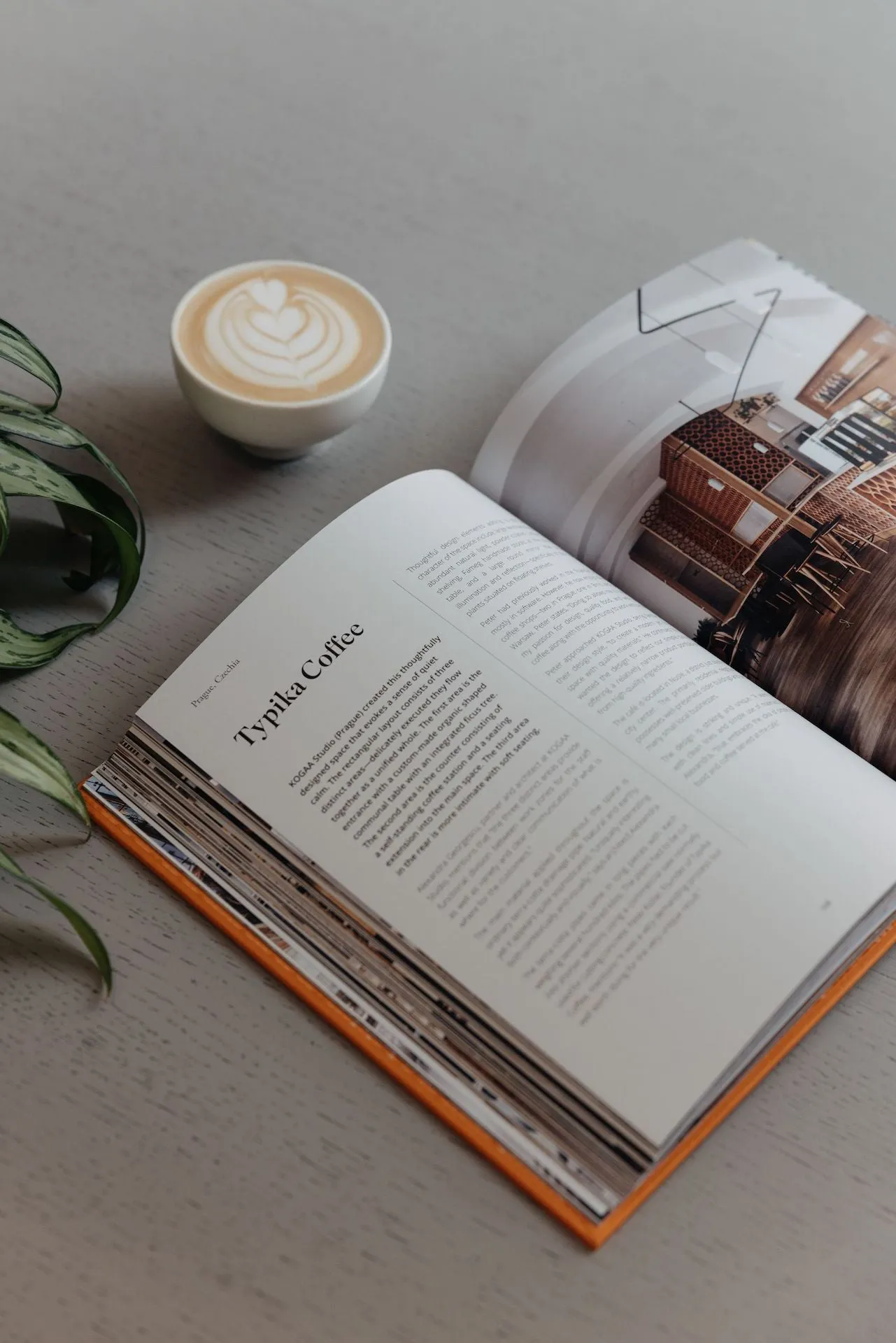 Café Cool by Robert Schneider