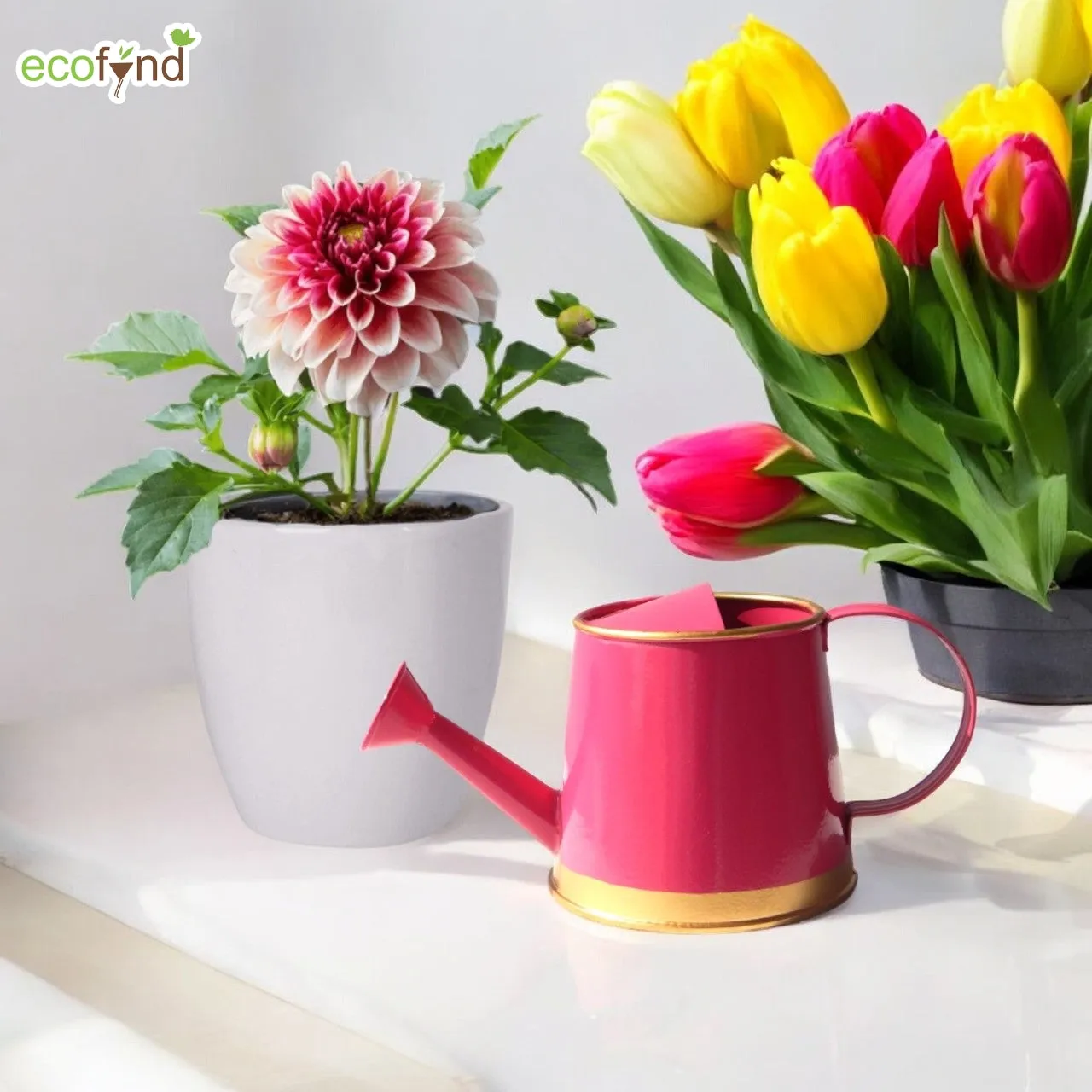 ecofynd 250 ml Pink Watering Can with Gold Border for Kids