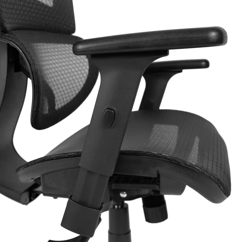 Ergonomic Mesh Office Chair with 2-to-1 Synchro-Tilt, Adjustable Headrest, Lumbar Support, and Adjustable Pivot Arms in Black