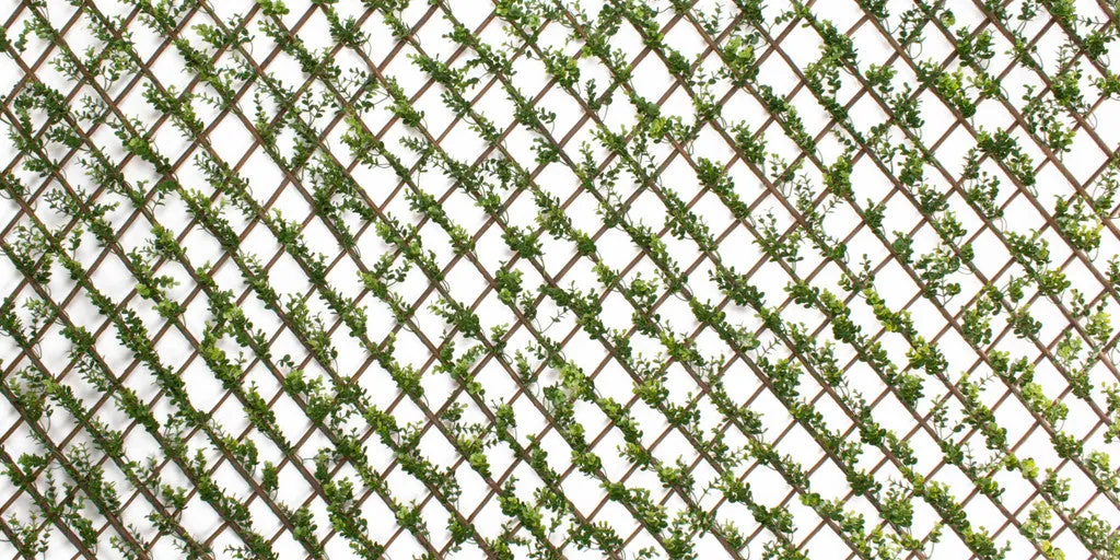 Faux Boxwood Willow Lattice Screen