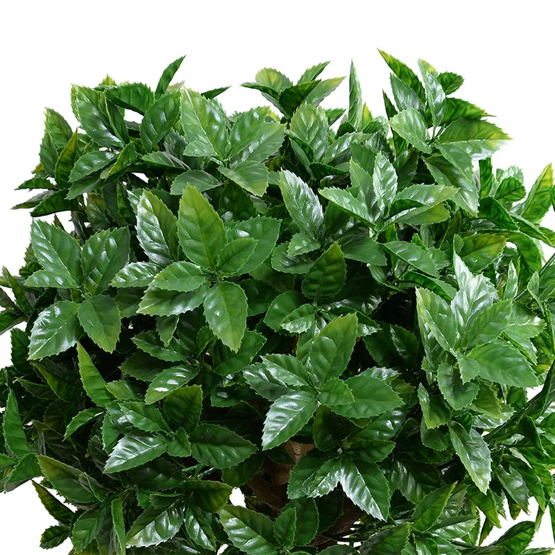 Holly Leaf Topiary