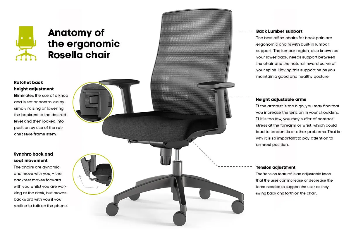 Rosella Ergonomic Office Chair - Adjustable Back