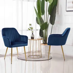Set of 2 Velvet Dinning Chairs  Gold Plating Legs for Living Room Chairs(Blue)
