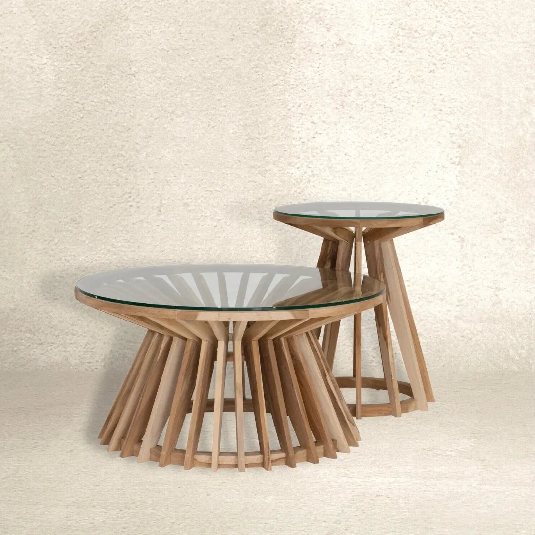 TUNDI COFFEE TABLE